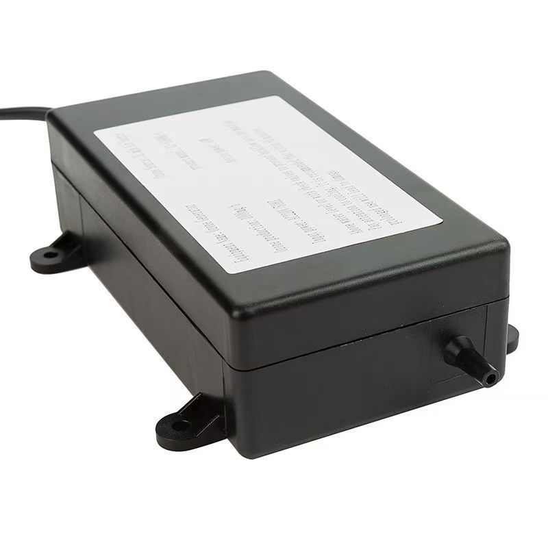 1000mg Home Ozone Generator: Water Treatment, Sterilization, Odor Removal & Fruit/Vegetable Disinfection Machine
