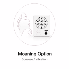 Built-in Smart Voice (Touch Sensitive) +$50.00