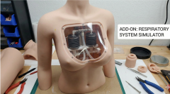 Simulated Breathing (Chest Movement) +$300.00