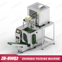 Weighing Packing Machine with Two Heads Electronic Weighing System