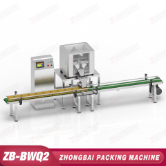 Box Packing Machine with Two Heads Weiging System
