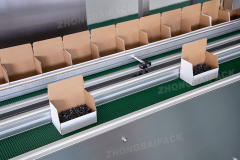 Box Packing Machine with Two Bowls by Track Counting