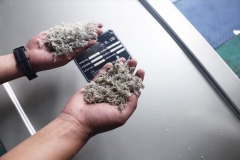 مصنع إعادة تدوير الأغشية البلاستيكية