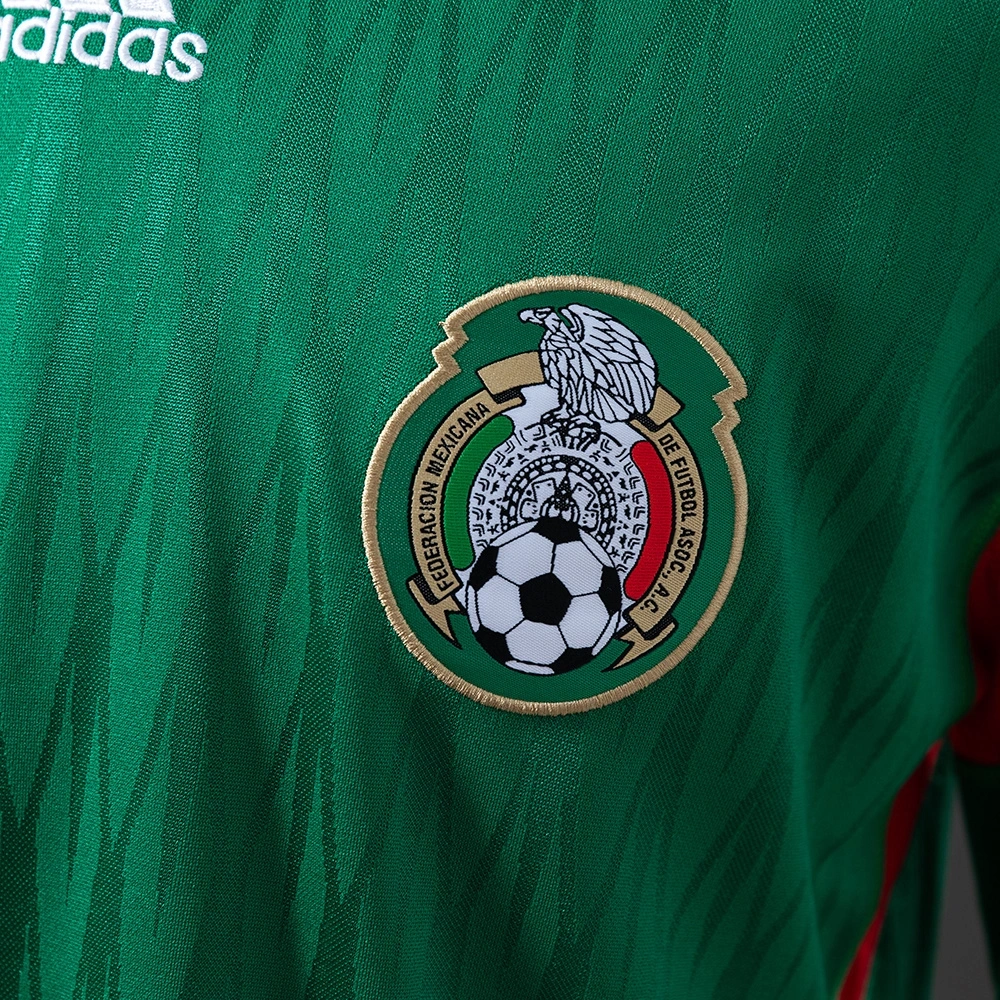 2010 MEXICO HOME