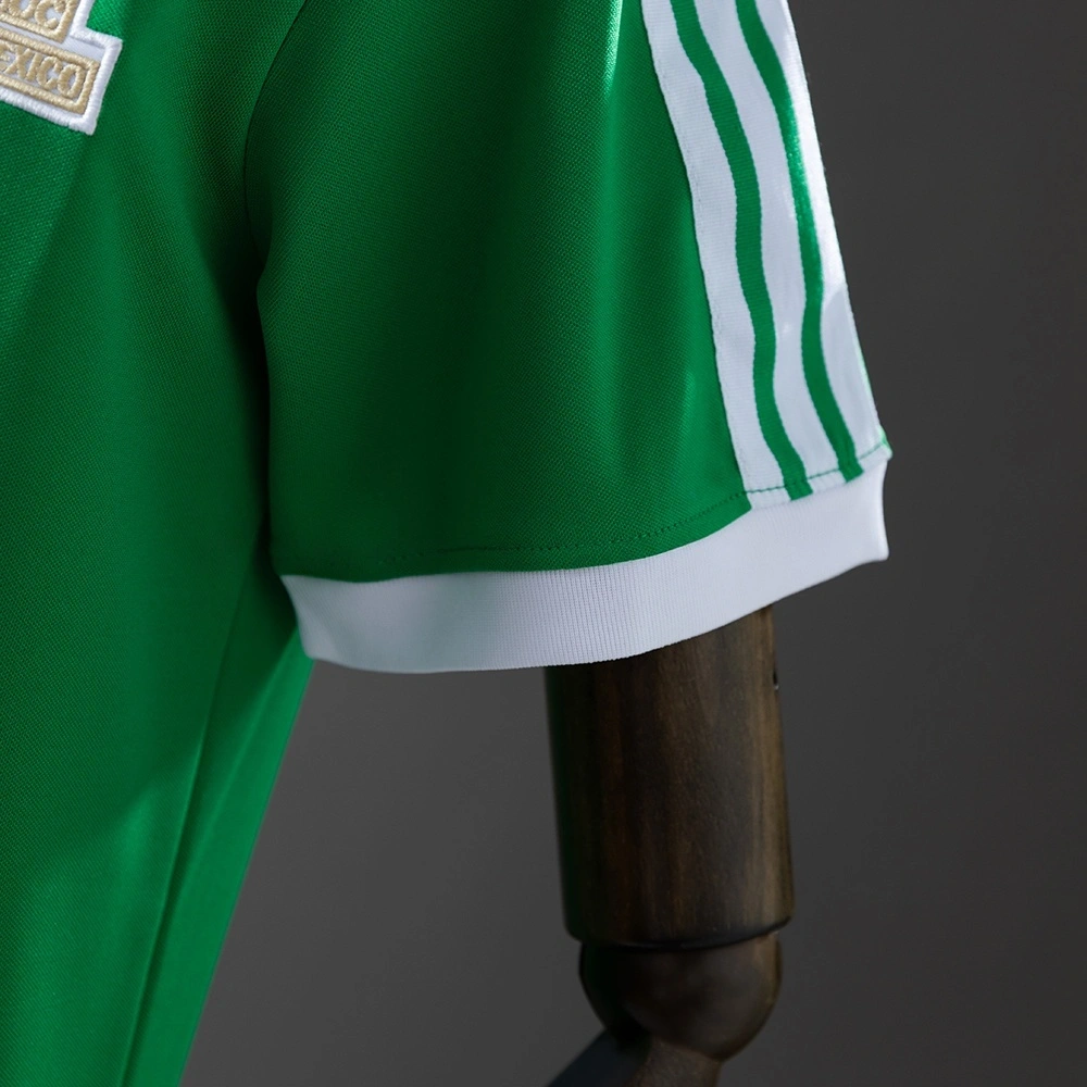 1986 MEXICO HOME