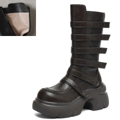 Spring Autumn Brown