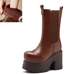Spring Autumn Brown
