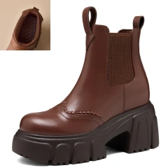 Spring Autumn Brown