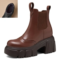 Winter Brown