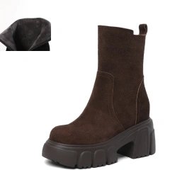 Winter Brown