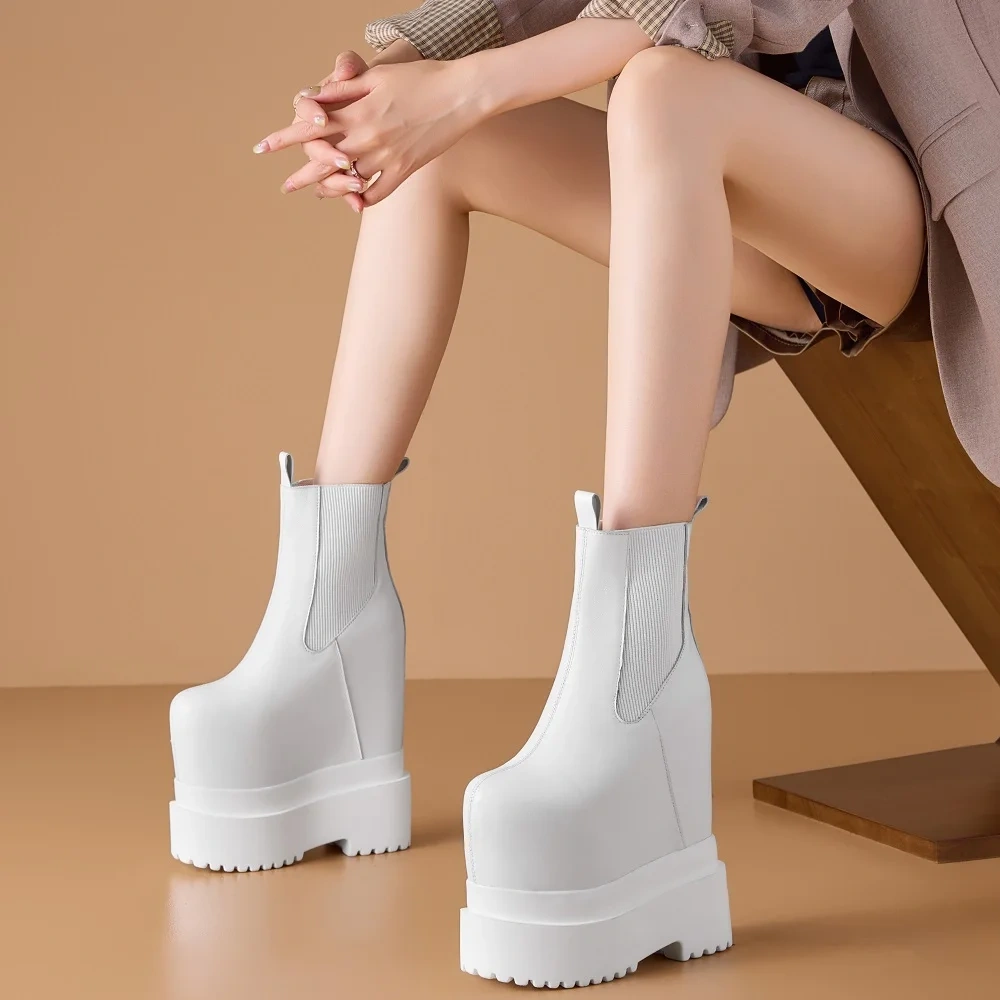 Genuine Leather Solid Color Platform Autumn Winter New Women's 20 CM Ultra High Heels Concise Elegant Boots 51016