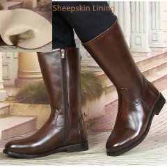 Spring Autumn Brown