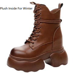 Winter Camel