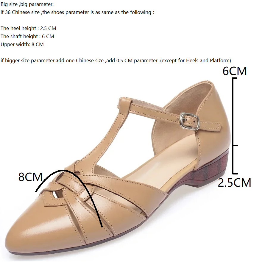 Summer New Fashion 2.5 CM Heels Pointed Toe Cut Out Buckle Strap Plus Size 42 43 Genuine Leather Shallow Mouth Women Sandals 60308