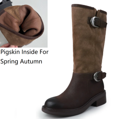 Spring Autumn Brown