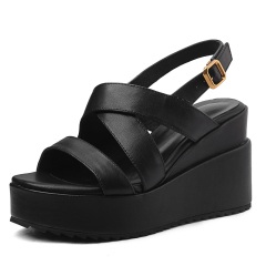 Black Cowhide