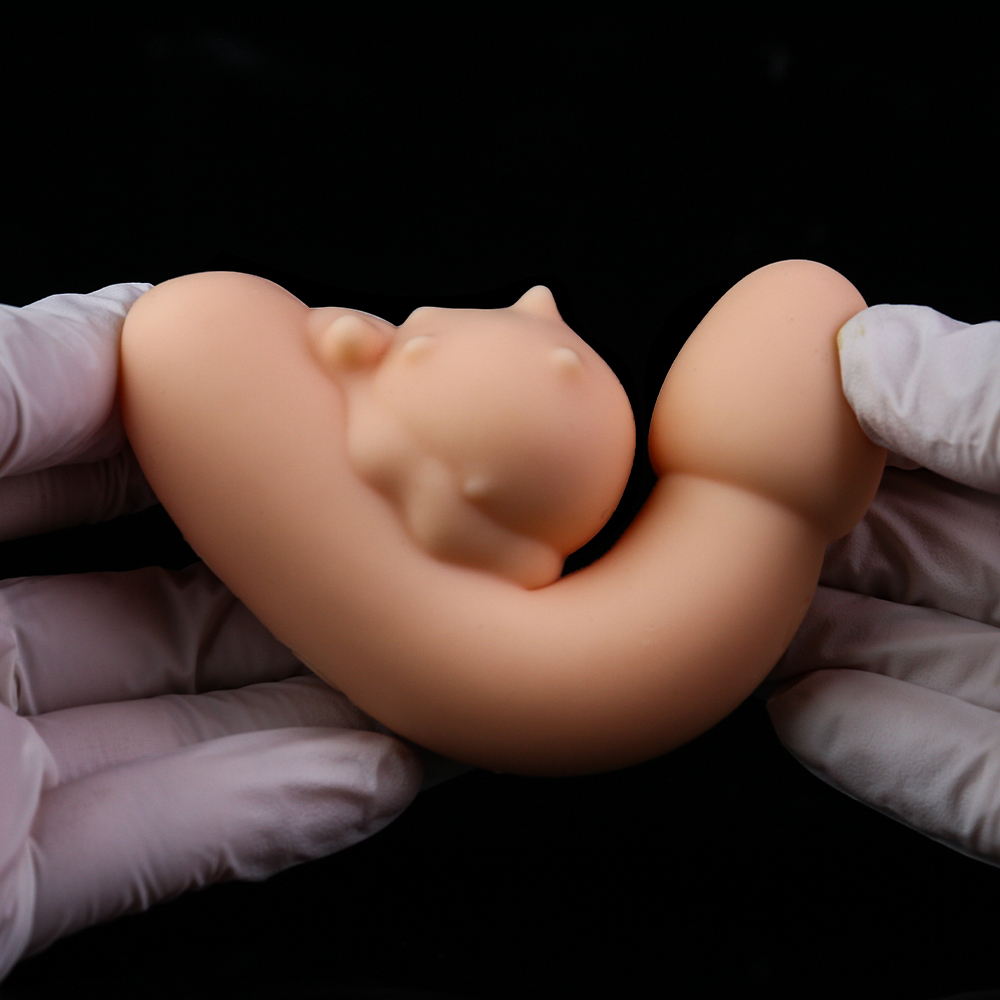 Animal multi-frequency vibrating portable AV massage stick for female masturbation device, wireless electric anal dilator sex toy