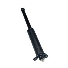 OEM 23915695f Rear shock absorber assembly for Aveo 2024