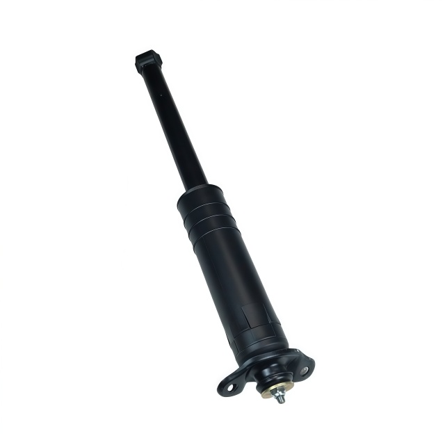OEM 23915695f Rear shock absorber assembly for Aveo 2024
