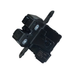 OEM 23581234 Tailgate Lock Mechanism for GROOVE