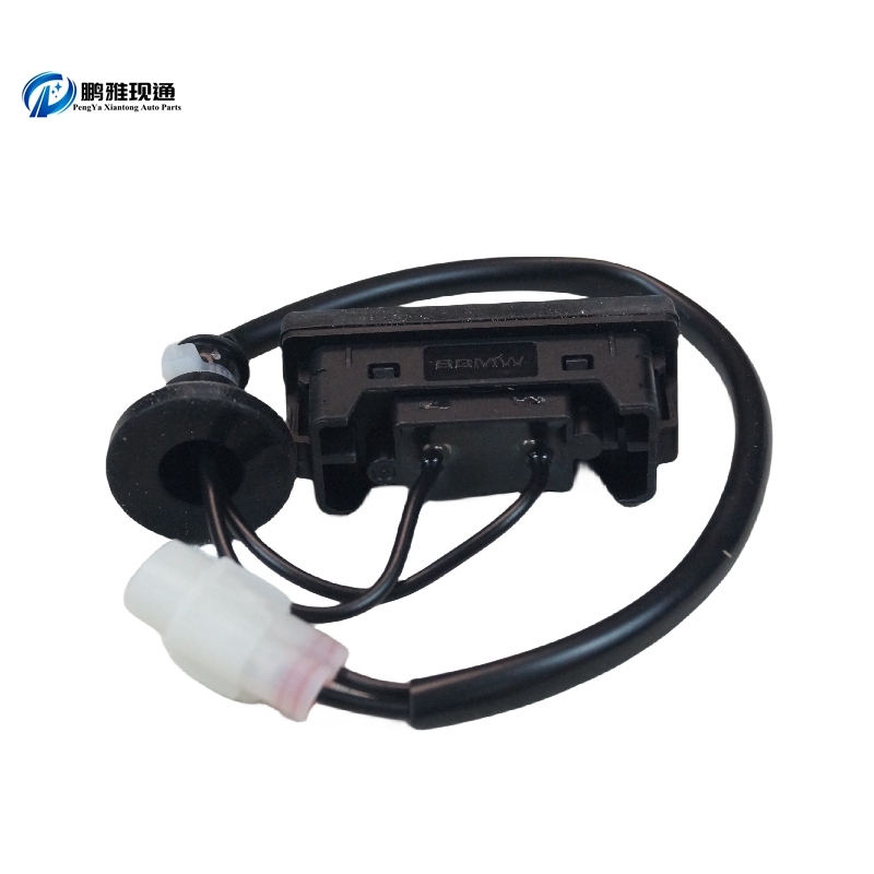 OEM 23917908 Tailgate Switch for Captiva