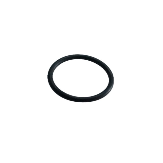 OEM 23955270  Washer bottle hose gasket for  GROOVE
