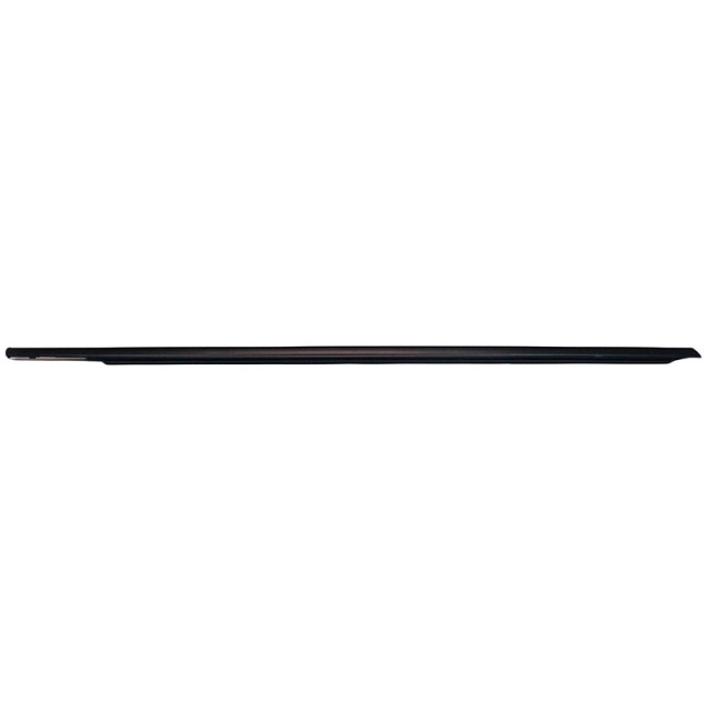 OEM 24562421  Front Door Window Outer Weatherstrip RH for Optra