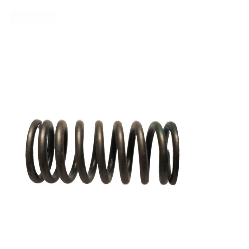 OEM 9024684 Valve Spring-LK for  GROOVE
