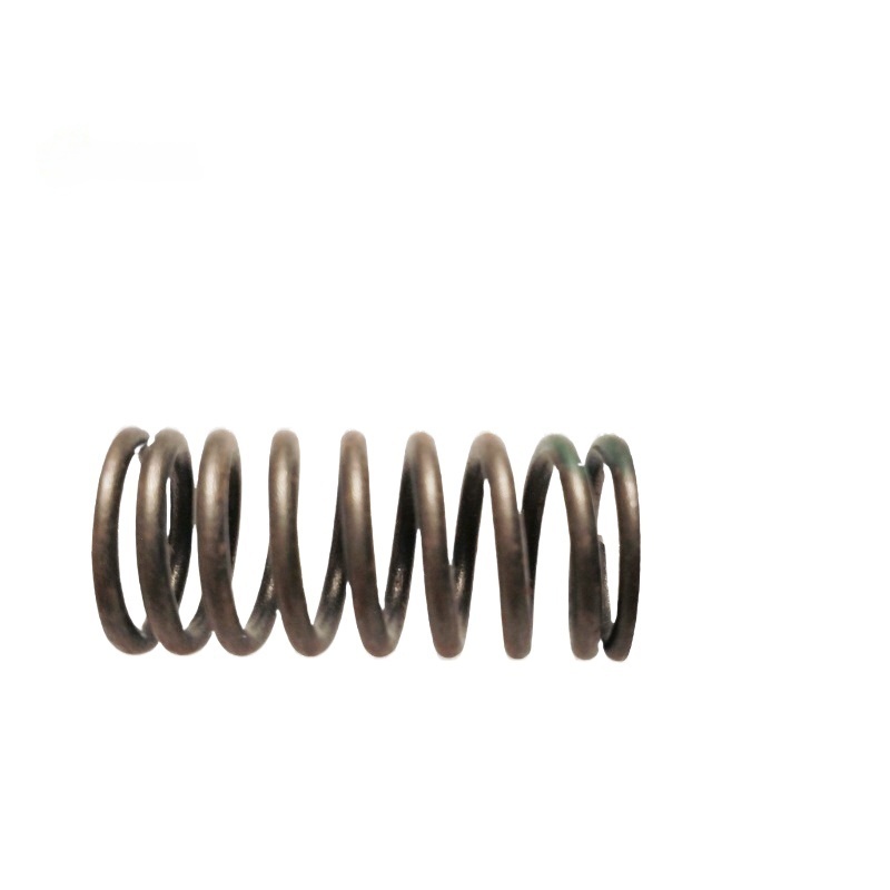 OEM 9024684 Valve Spring-LK for  GROOVE