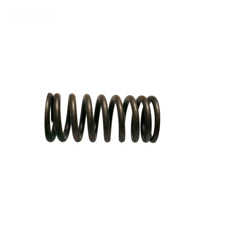 OEM 9024684 Valve Spring-LK for  GROOVE
