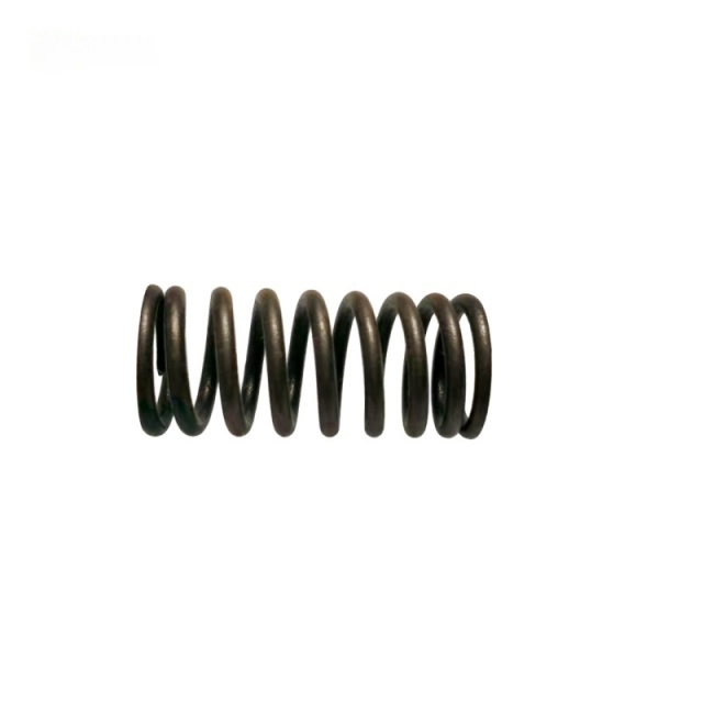 OEM 9024684 Valve Spring-LK for  GROOVE