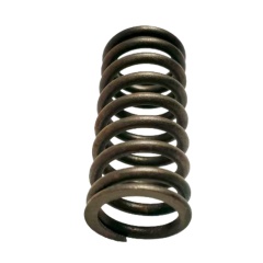 OEM 9024684 Valve Spring-LK for  GROOVE