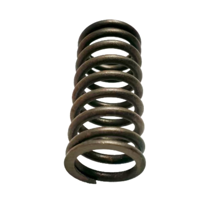 OEM 9024684 Valve Spring-LK for  GROOVE