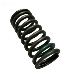 OEM 9024684 Valve Spring-LK for  GROOVE