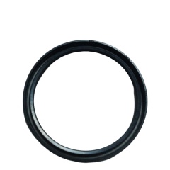 OEM 9025144 Camshaft Rear Oil Seal for  GROOVE