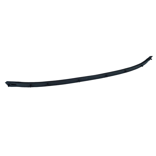OEM 23643638 Rear Door Lower Outer Guard Weatherstrip R for Captiva