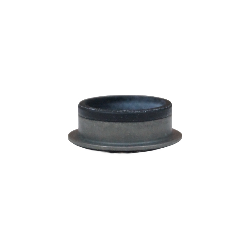 OEM 24256576  Shift Shaft Oil Seal AT (MH9)  for Optra