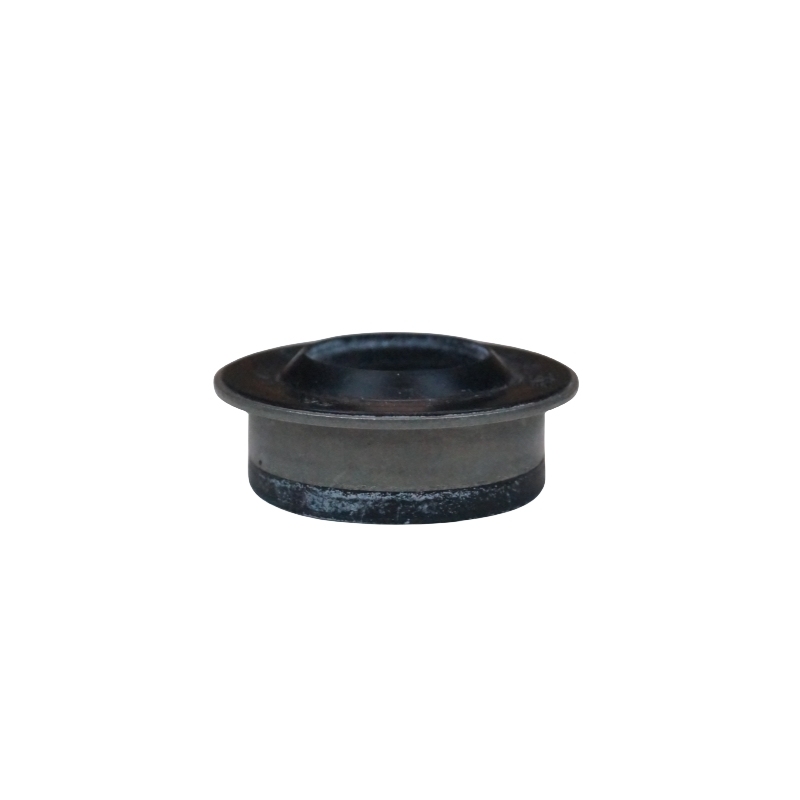 OEM 24256576  Shift Shaft Oil Seal AT (MH9)  for Optra