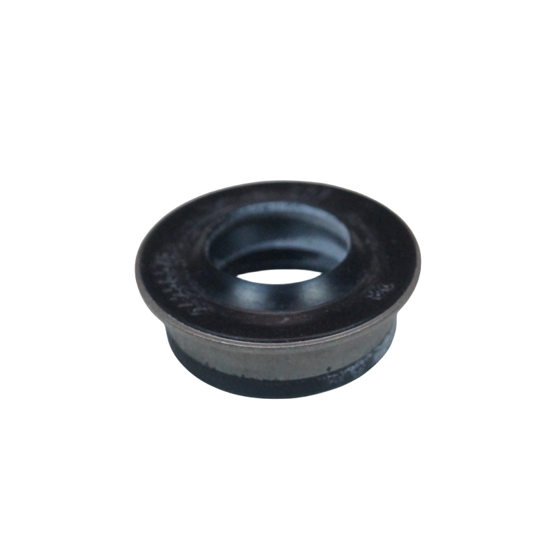 OEM 24256576  Shift Shaft Oil Seal AT (MH9)  for Optra