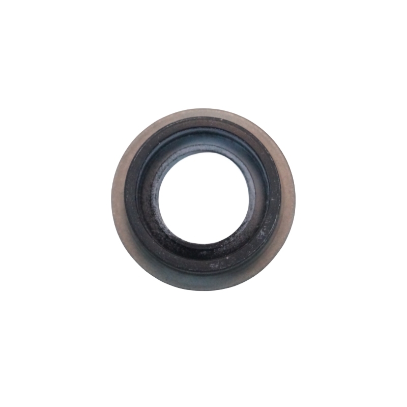 OEM 24256576  Shift Shaft Oil Seal AT (MH9)  for Optra