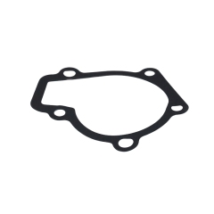 OEM 25124-23000 GASKET-WATER PUMP for Hyundai&KIA