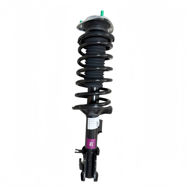 OEM 26153306 Front Shock Absorber Assembly R for Spark EUV