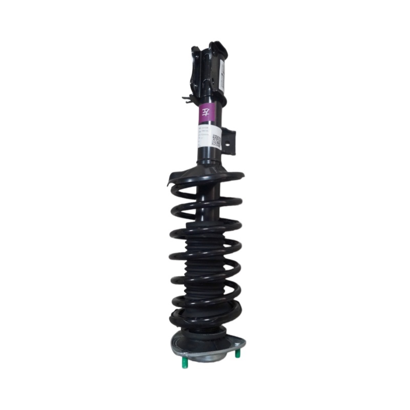 OEM 26153305 Front Shock Absorber Assembly L for Spark EUV