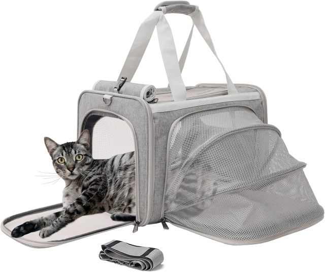 Small Dog Carriers, Sturdy Pets Carriers Rabbits Bunny Puppies Cage Small Animals Outdoor Carry Kennel