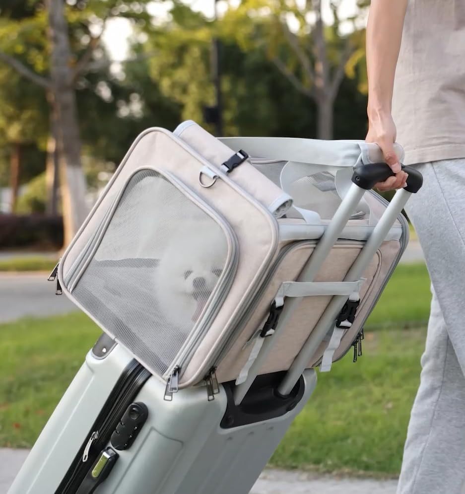Small Dog Carriers, Sturdy Pets Carriers Rabbits Bunny Puppies Cage Small Animals Outdoor Carry Kennel