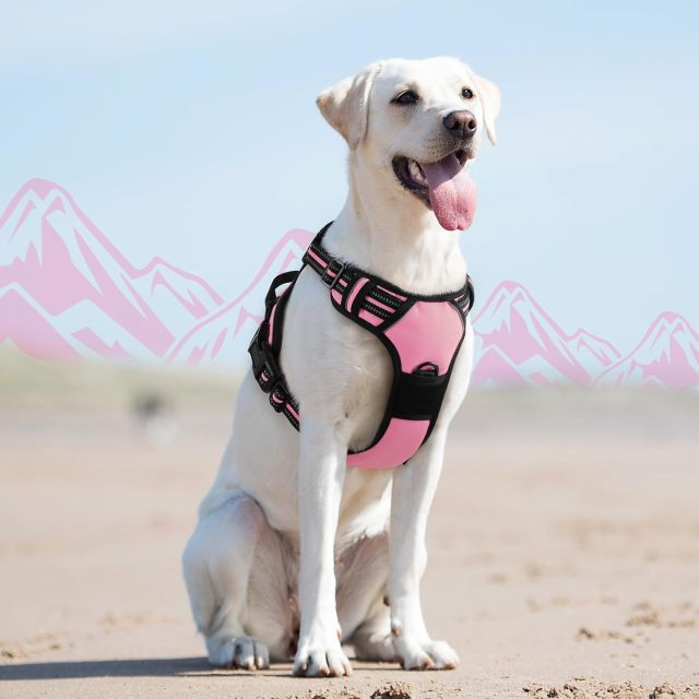 Dog Harness for Large Dogs, No Pull Service Vest with Reflective Strips and Control Handle, Adjustable and Comfortable for Walking, No Choke Pet Harness with 2 Metal Rings