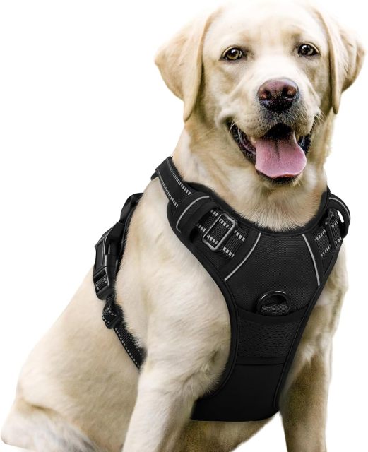 Dog Harness No Pull with 2 Leash Clips, Adjustable Soft Padded, Reflective Oxford No Choke Pet Vest with Easy Control Handle for Large Dogs