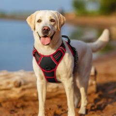Dog Harness No Pull with 2 Leash Clips, Adjustable Soft Padded, Reflective Oxford No Choke Pet Vest with Easy Control Handle for Large Dogs