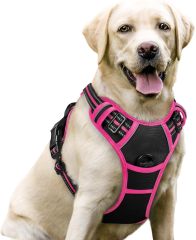 Dog Harness No Pull with 2 Leash Clips, Adjustable Soft Padded, Reflective Oxford No Choke Pet Vest with Easy Control Handle for Large Dogs