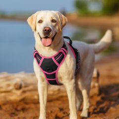 Dog Harness No Pull with 2 Leash Clips, Adjustable Soft Padded, Reflective Oxford No Choke Pet Vest with Easy Control Handle for Large Dogs